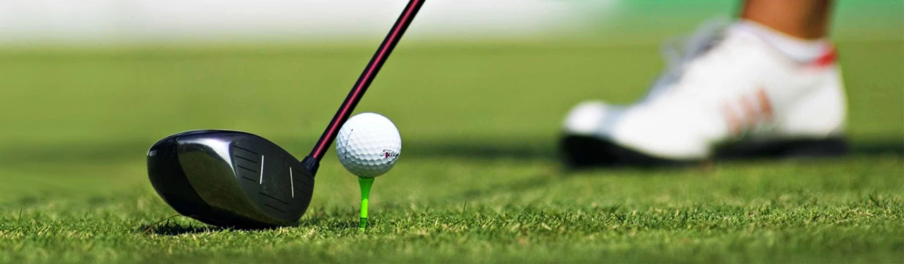 Golf Clubs Sales 2023 -Golf Clubs Sales 2023 golf stick ball and tee website header